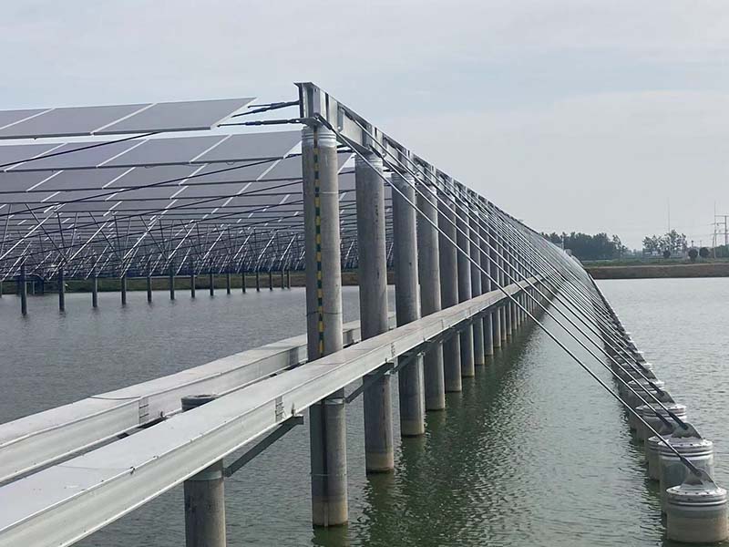 山东午夜极品视频厂家